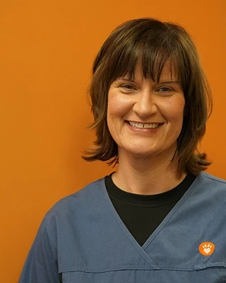 Lisa Walsh